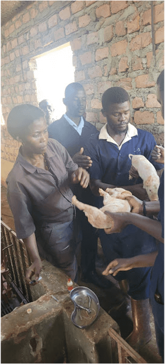 Inside Dr. Naluyima’s farming success story.