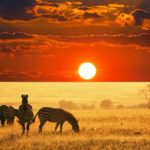 Africa’s Travel and Tourism Top 2018 Highlights