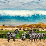 Health and Safety Considerations for Tourists in Uganda.