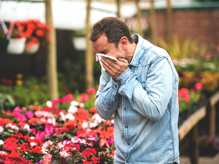 what is hay fever symptoms