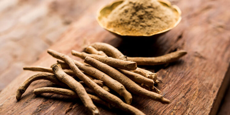 nowthendigital.com__what-is-ashwagandha-and-its-side-effects-1-750x375