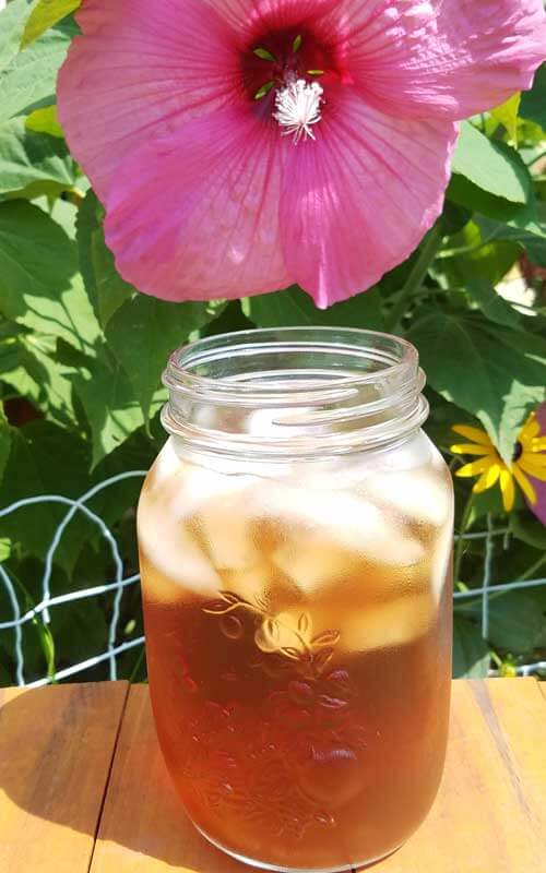 How-to-Dry-Hibiscus-Flowers-For-Tea-1