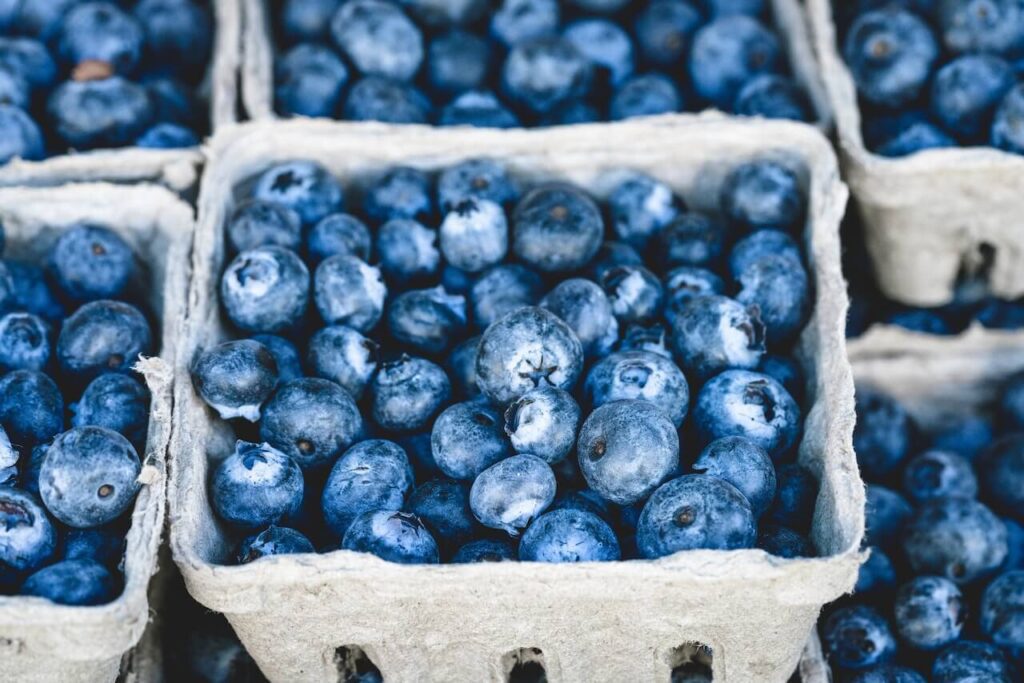 Blueberries low calorie fruits for weight loss
