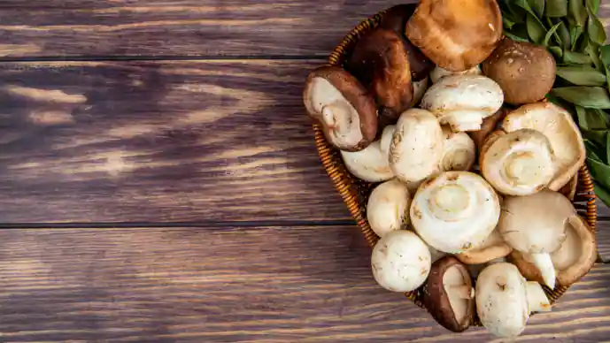 Mushrooms vitamin D for vegetarians