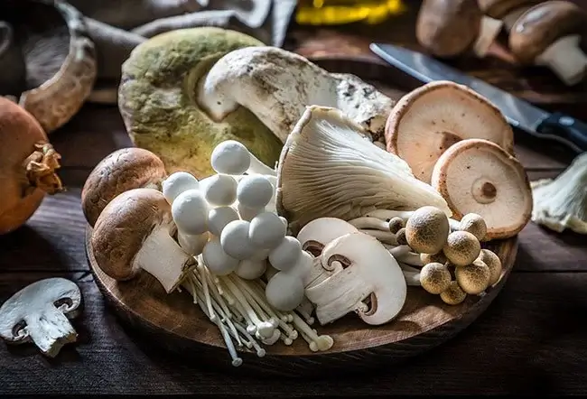 mushrooms health benefits