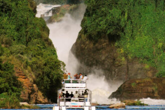 murchison falls national park activities